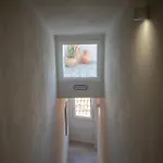 Vico Larzio 6 
